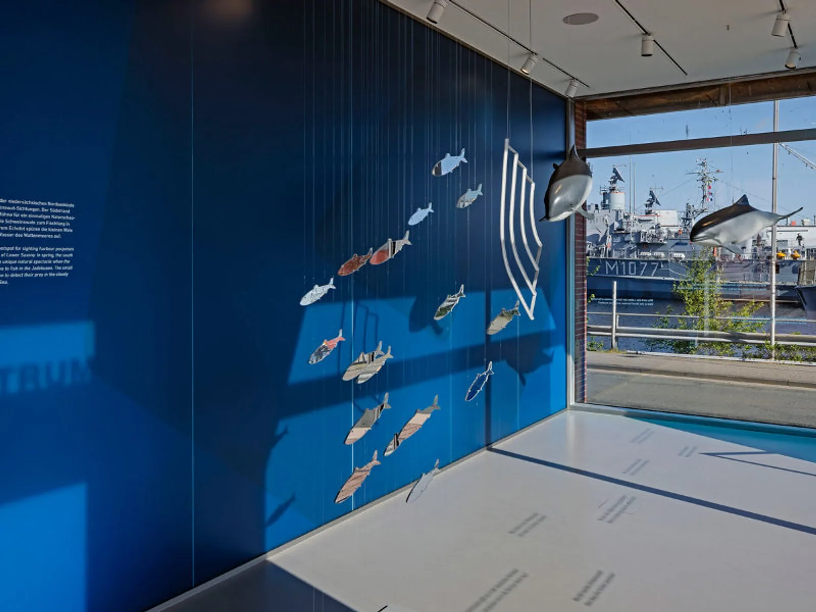 Besucherzentrum Wattenmeer, Ansicht 3: von FSL Ladenbau gefertigte Einrichtung in Wilhelmshaven